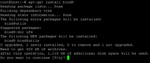 install bind9