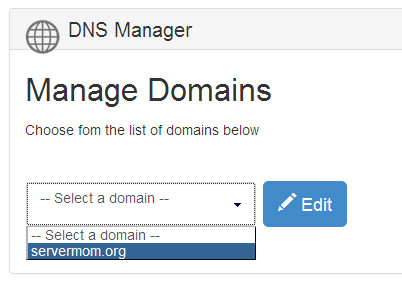 dns manager