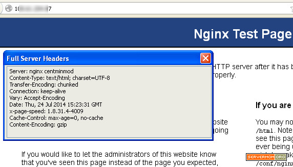 nginx-testpage-centminmod