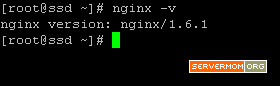 nginx-version-centos7