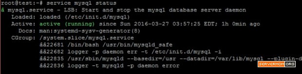 mariadb mysql status